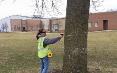 Arbor Day Foundation Update