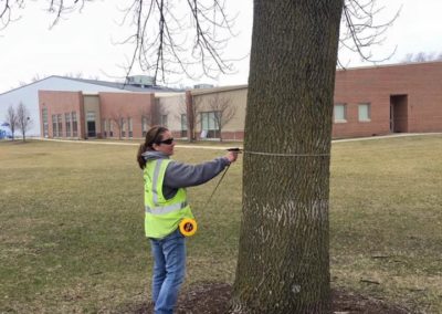 Highland Tree Inventory